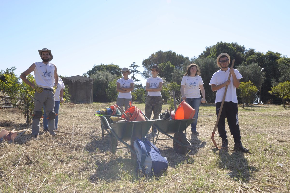 ArcheoINN's tweet photo. Il #DiarioDigitale di #SantaVeneraAlPozzo!
Il contributo degli @studenti_unict ➻ https://t.co/BOhLdoGunH
#archeologia #archeoresearch https://t.co/X0KHgbWTST