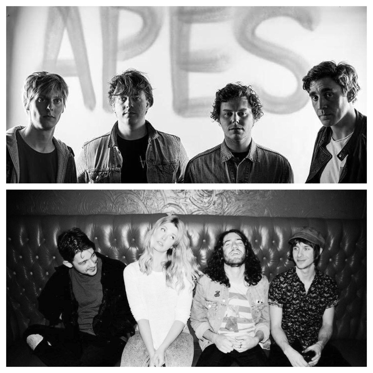 destrendsband's tweet photo. Psyched to announce @APESofficial and Dumb Dog will be joining us at Northcote Social Club -Saturday August 12! 
https://t.co/wObQr4QR7i https://t.co/iKgQ6hmrSO