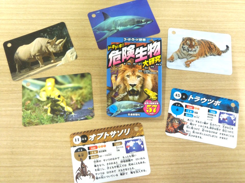 交通新聞社 公式 V Twitter 7月10日発売 スーパーカード図鑑 ドキドキ 危険生物大研究 夏休みにおすすめ 世界に生息する57種類の 危険生物を集めました 監修は元上野動物園園長の小宮輝之氏 詳しくは T Co 8naqzfi4um 危険生物 こどものほん