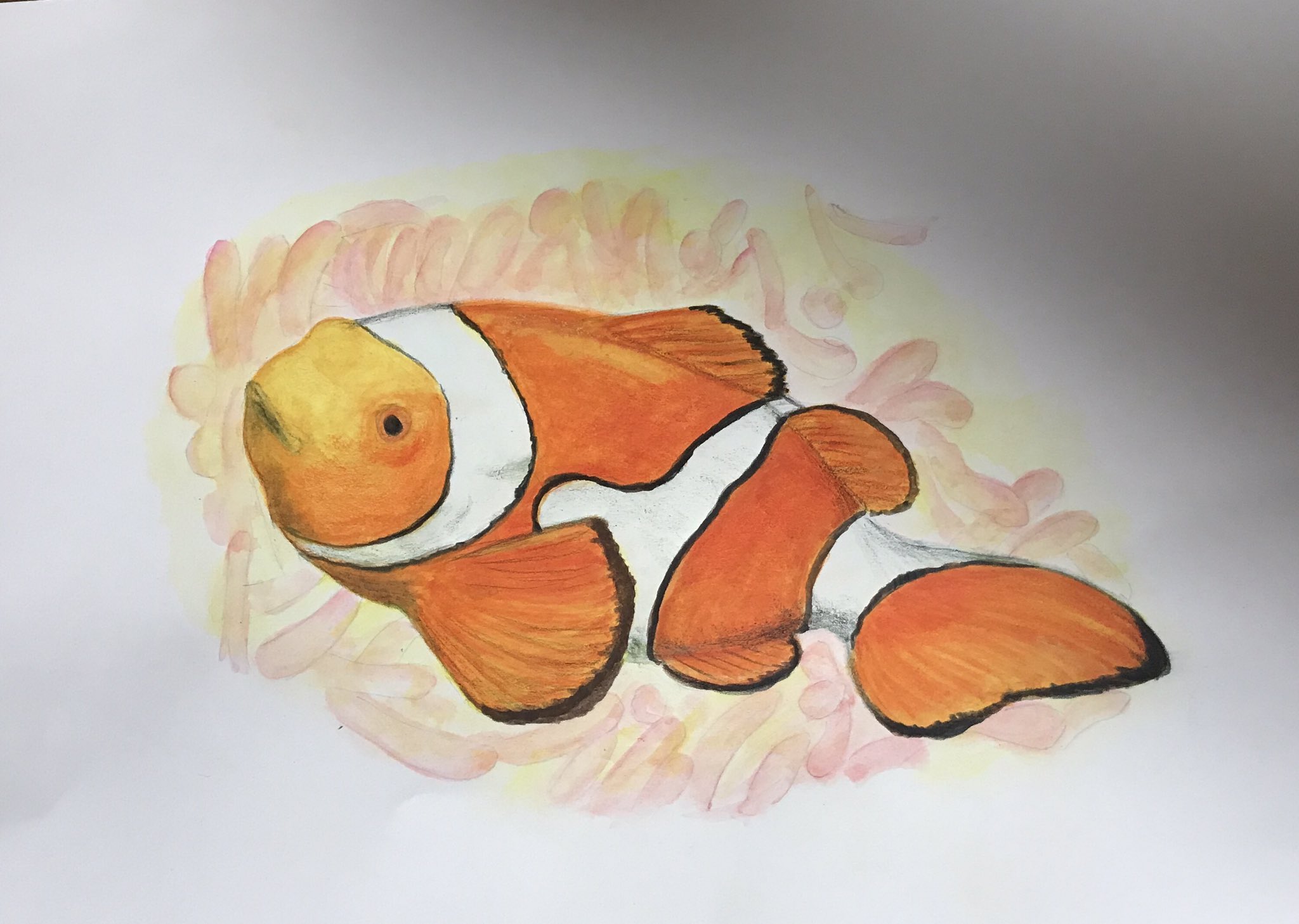 己書鯒来絵道場 師範 西山英樹 V Twitter ニモでお馴染みカクレクマノミ描きました どこが何やらで描きにくいです 己書鯒来絵道場 師範 西山英樹 V Twitter ニモでお馴染みカクレクマノミ描きました どこが何やらで描きにくいです