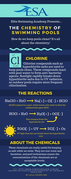 eliteswimming's tweet photo. When your Customer Service Manager's girlfriend is an award winning scientist and chemist and you ask about swimming pool chemicals! 

We l… https://t.co/0UGUbNcRAv