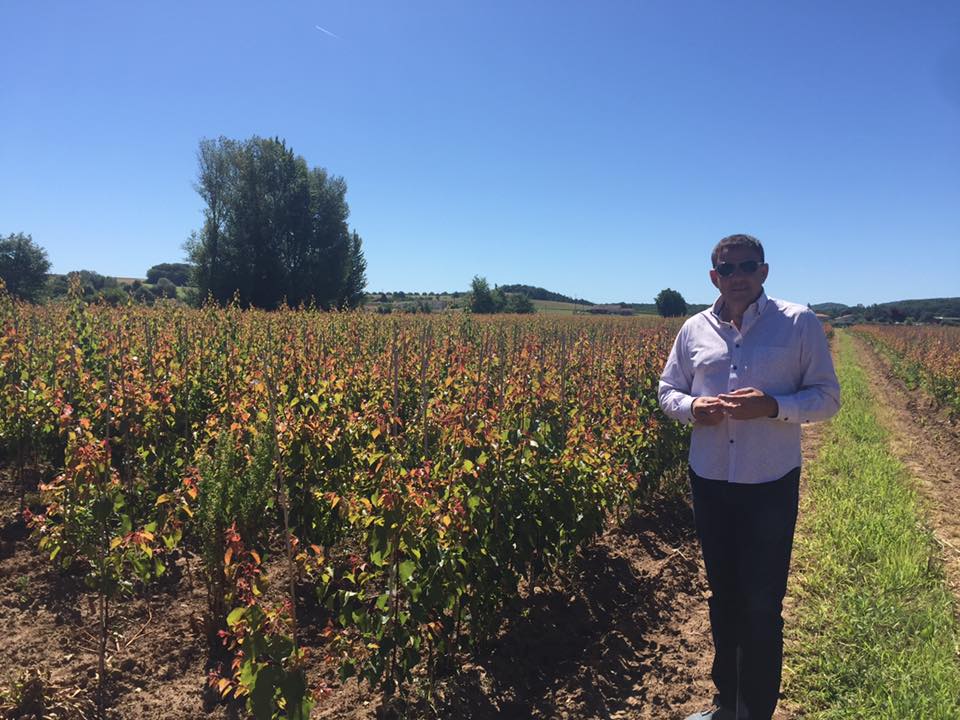 augustaviveros's tweet photo. Volvemos de #Francia de hacer una visita comercial en la que visitamos #EscandePlants dentro del plan de desarrollo de variedades #Proseplan https://t.co/tBxv6twVFt