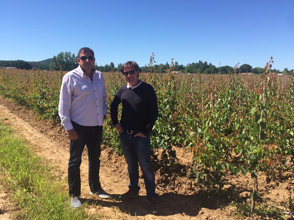 augustaviveros's tweet photo. Volvemos de #Francia de hacer una visita comercial en la que visitamos #EscandePlants dentro del plan de desarrollo de variedades #Proseplan https://t.co/tBxv6twVFt