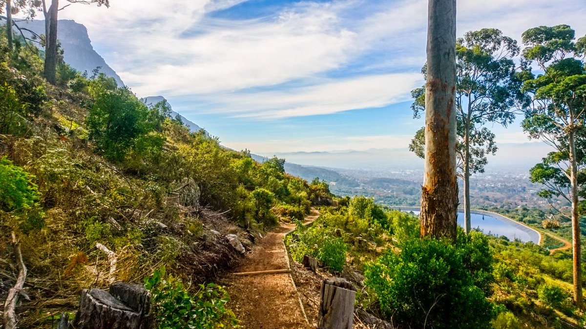 Last week's winner of a #trailrun 
Beautiful #CapeTown winter.