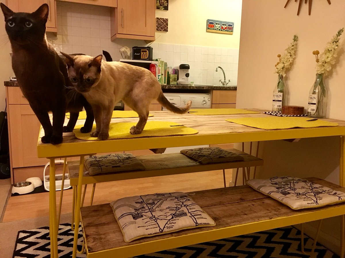 InvictaIronwork's tweet image. Check out one of our table and benches all set up in their new home 😊 The cats seem to like it 😂