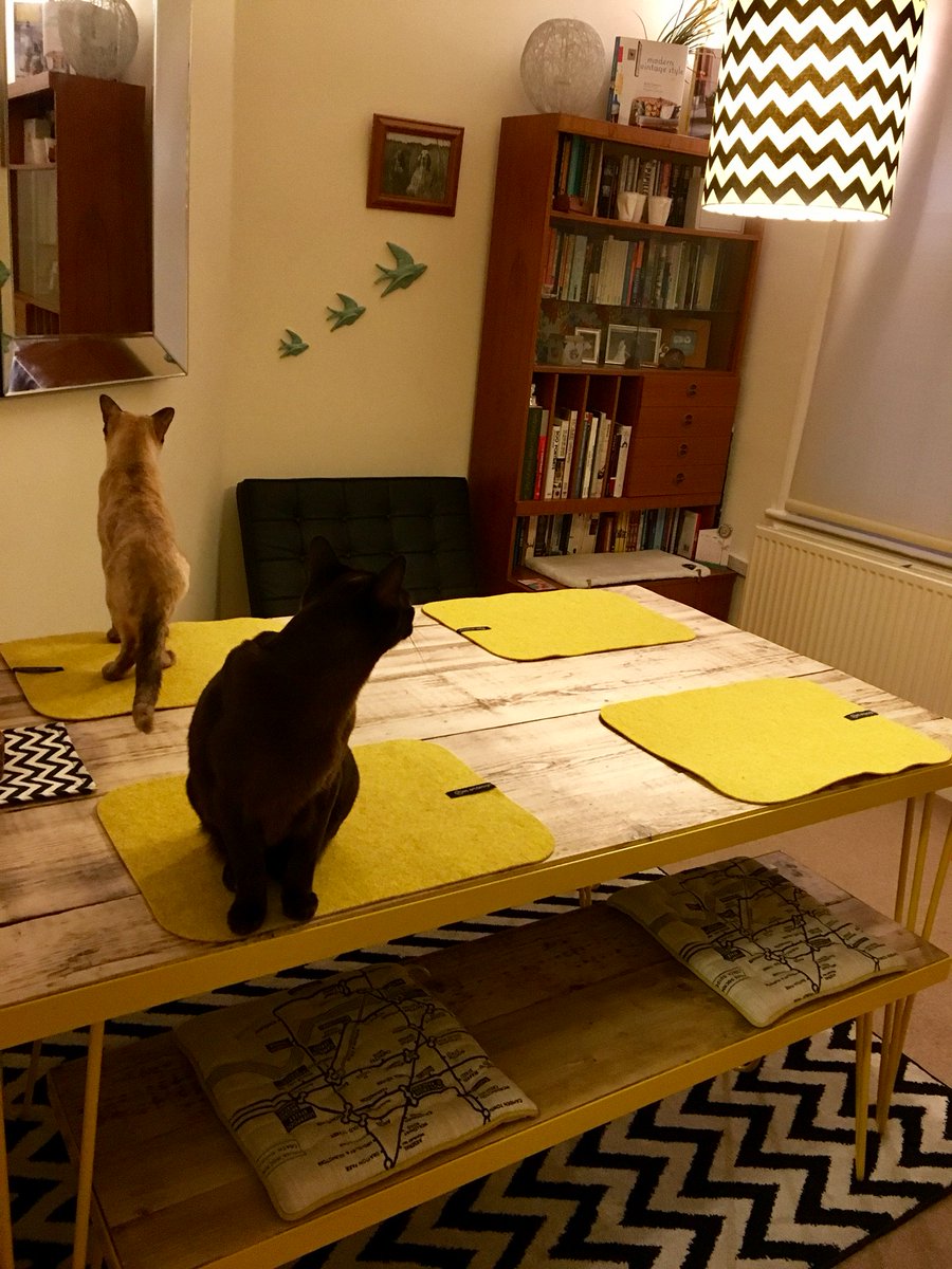 InvictaIronwork's tweet image. Check out one of our table and benches all set up in their new home 😊 The cats seem to like it 😂