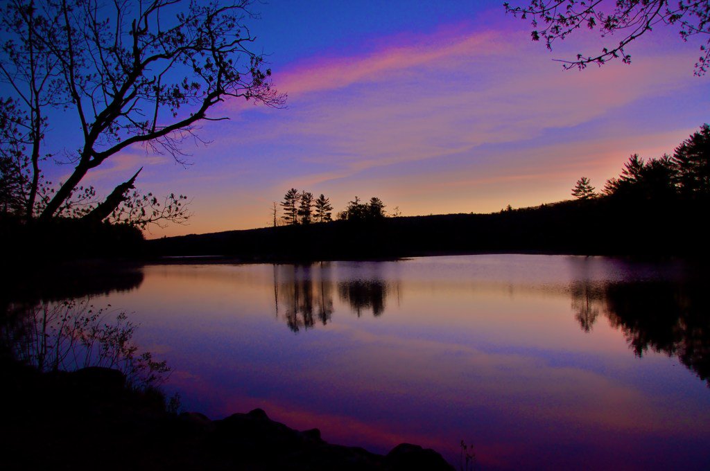 NorthQuabbinite's tweet photo. Sunrise at Harvard Pond https://t.co/2sbxiBY2GO https://t.co/RyZ5rI3vSk
