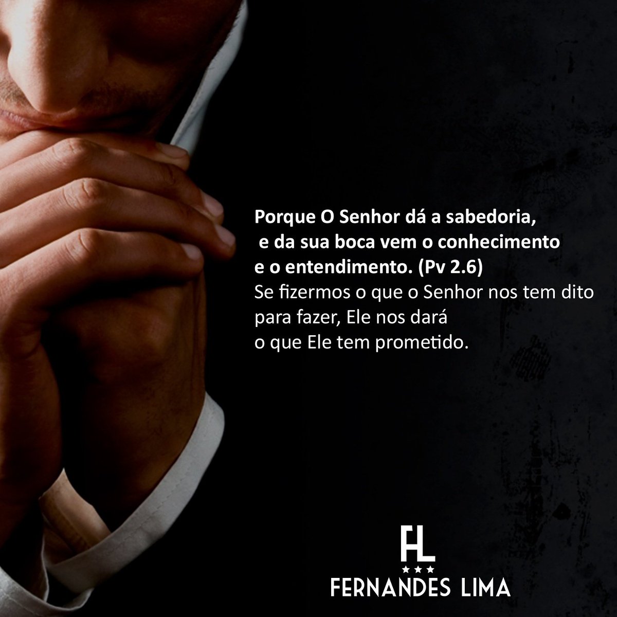 FernandesLimaOficial tweet media
