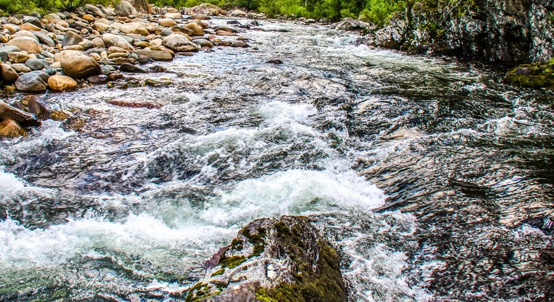 DesignProLtd's tweet image. Fantastic to see write ups on the launch of our latest project, what a great boost  buff.ly/2u3FHZd via @siliconrepublic @GordonHunt