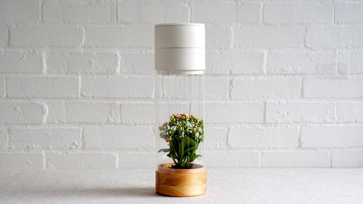 PasWordSecurity's tweet image. What motivates you to exercise? What if you were hurting a pant every time you skipped leg day? bit.ly/2sVw3no #motivationmonday