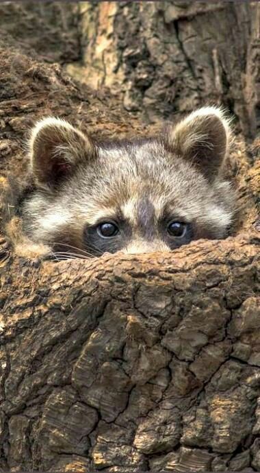 Daniels14Lynne's tweet image. Is the weekend really over? @RomanJancic @PardueSuzanne @The_Debs_Effect @Ltd_To_Two @eralbertson @ramblingsloa @PureMadAngel @KariJoys