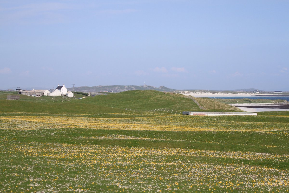 H&I Voices tweet media