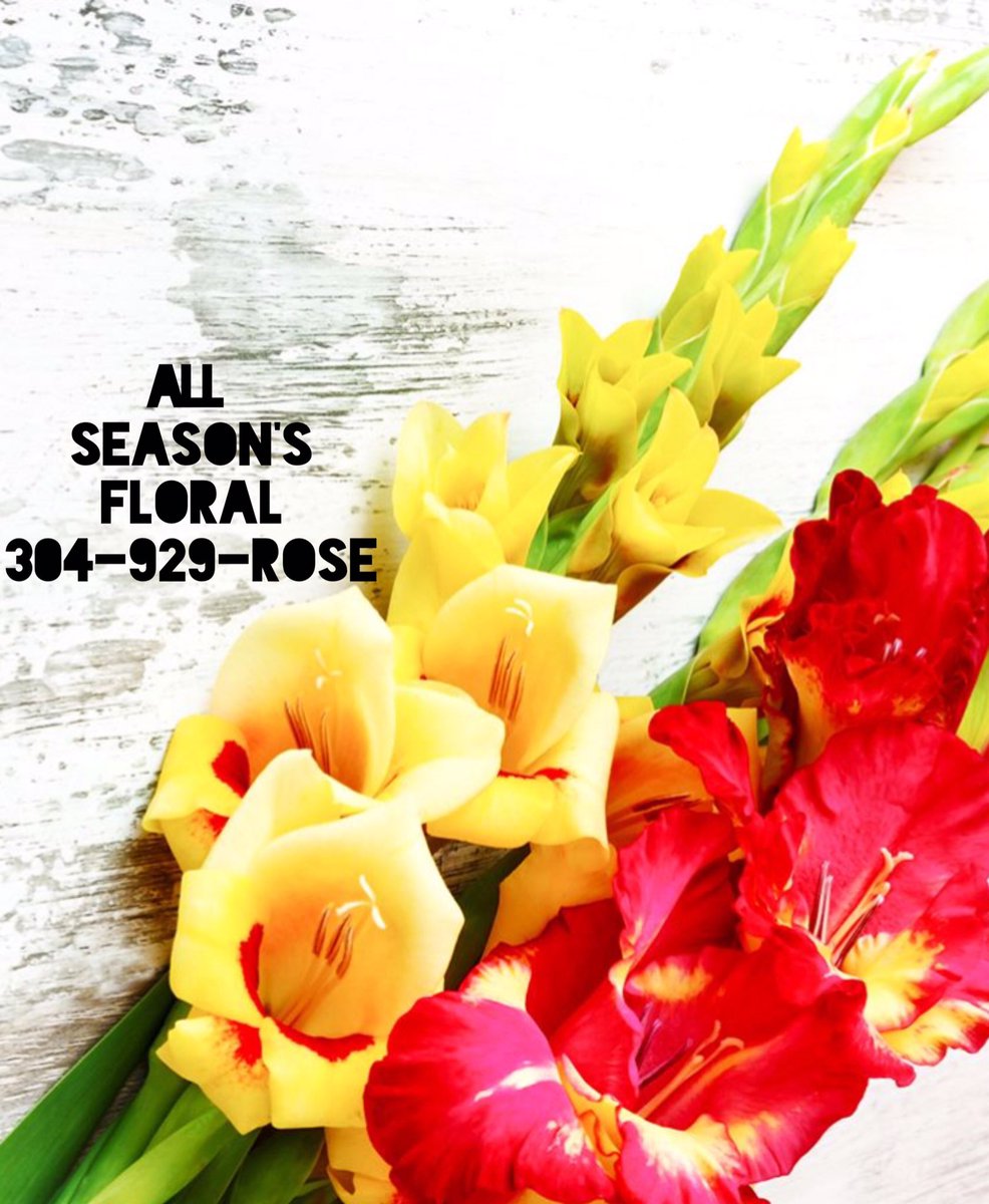 Allseasonswv's tweet image. Want to do your own flowers for your next event?? Order them in bulk from All Seasons Floral! 304-929-7673 allseasonswv.com #shopwv