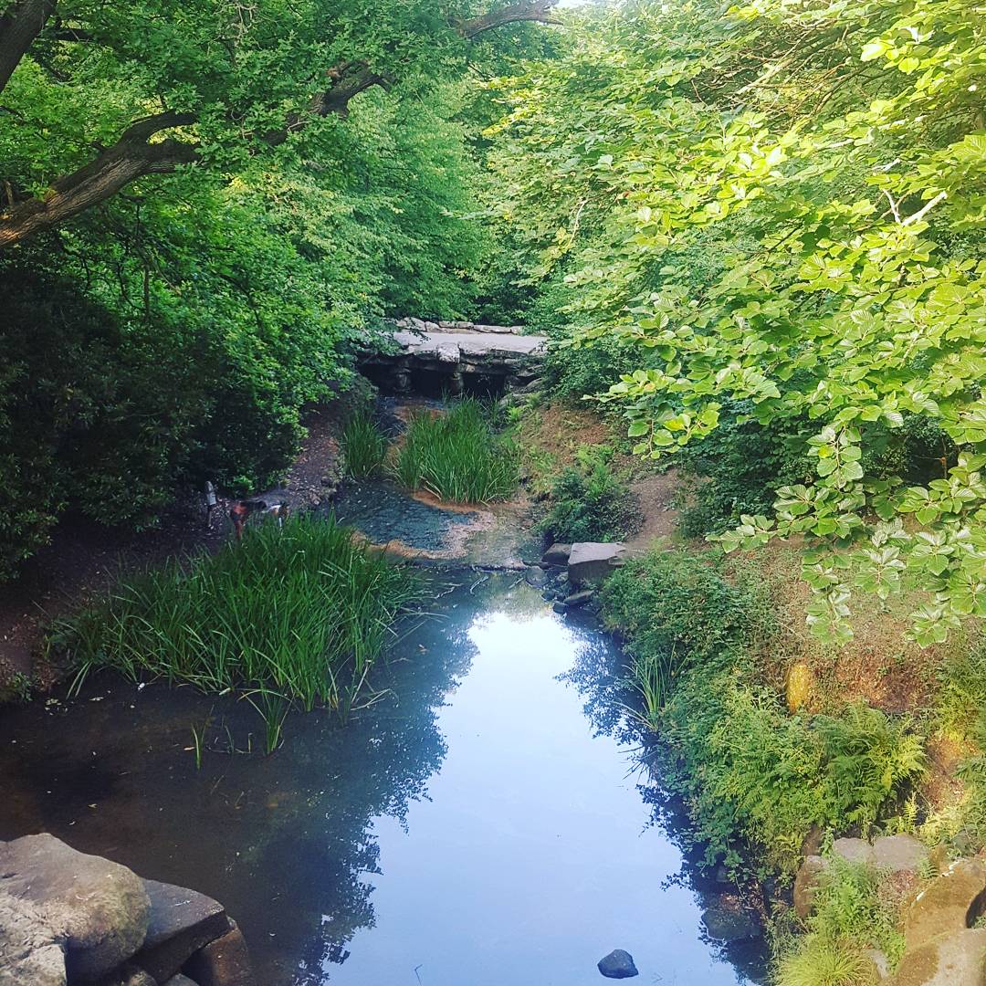 _Franksta_'s tweet photo. #virginiaWaters #lake #ascot #sun #summer #eveningwalks #sisters #pregnancy #eightmonths #finalmonth #lovelife https://t.co/BARe1oijp1
