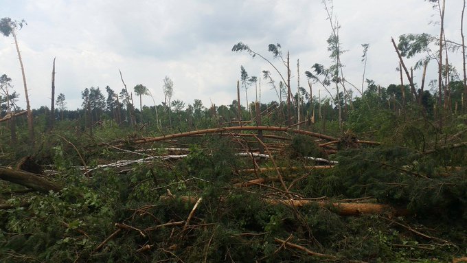 Zobacz obraz na Twitterze