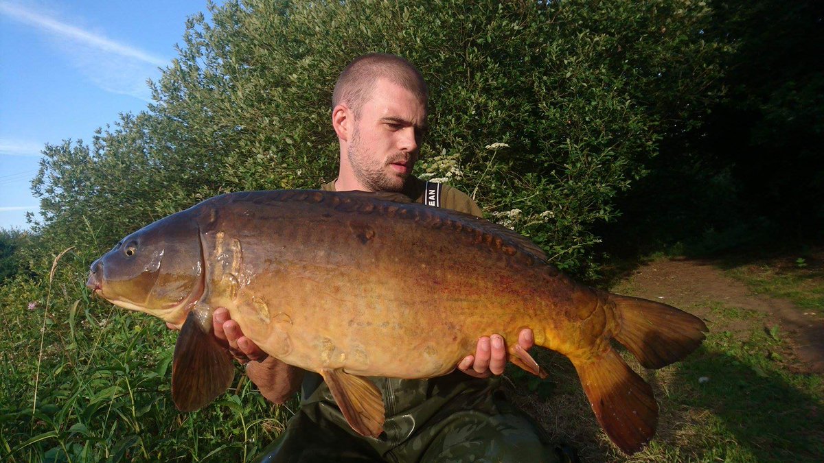 craigcarpman92's tweet photo. Productive session on the new water with the krillers garlic even managed an original stock fish fang twister nailing em all @NashTackleUK https://t.co/ATT5gQ8Yfb