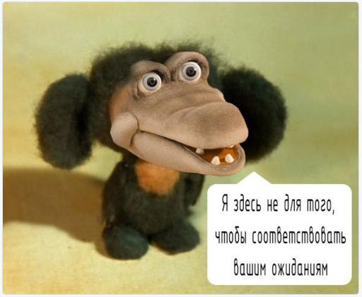 https://pbs.twimg.com/media/DEXnB65XkAA2JZS.jpg