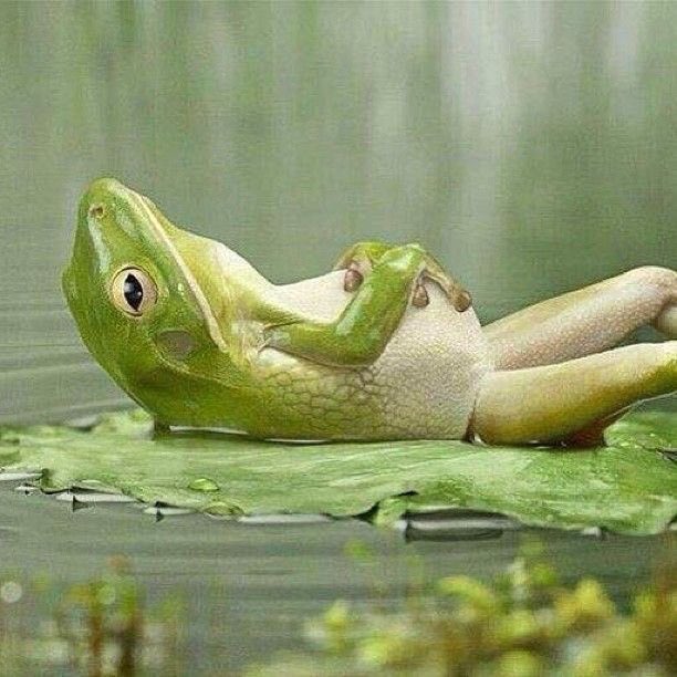 Relaxation is key to a happy life