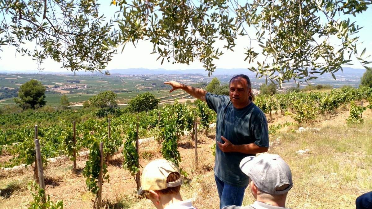 jordi_farre's tweet photo. Explicacions del Josep Maria @AlbetiNoya a la vinya de #ElFanio
Pioner en agricultura ecològica https://t.co/wL8VriVU0G