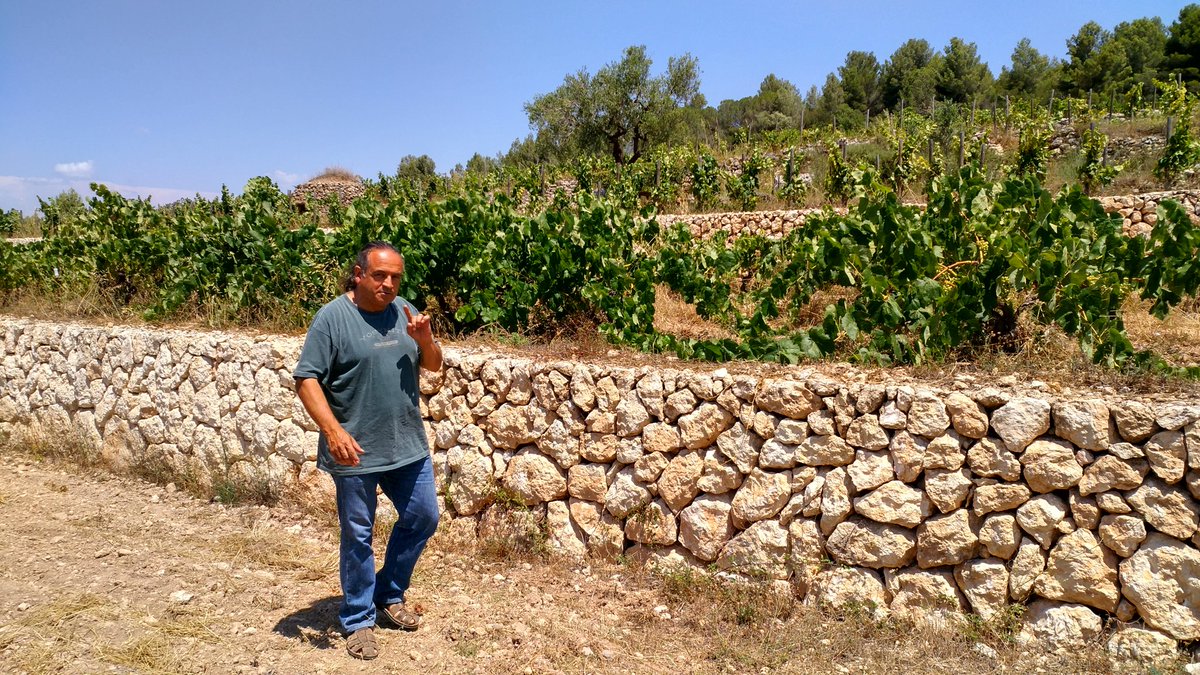 jordi_farre's tweet photo. Explicacions del Josep Maria @AlbetiNoya a la vinya de #ElFanio
Pioner en agricultura ecològica https://t.co/wL8VriVU0G