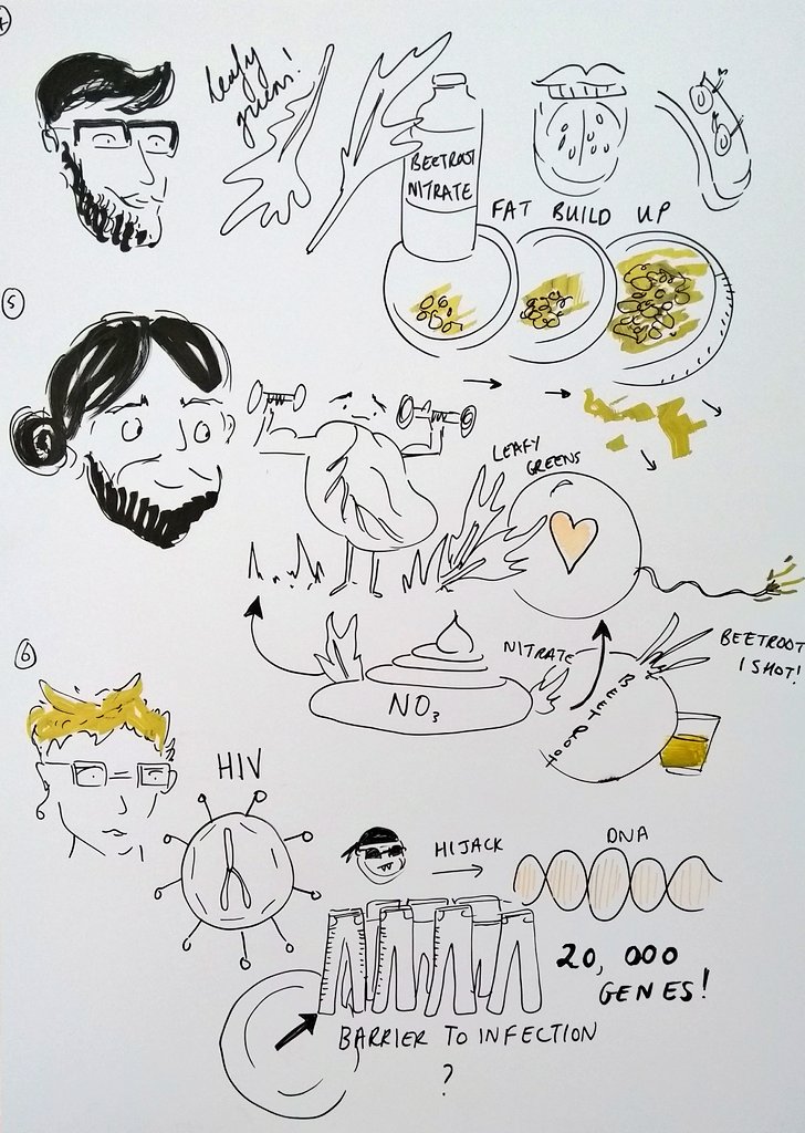 nextgen_sci's tweet photo. @Merlin_Draws @FrontYoungMinds @theASE @FulvioDAcquisto @EngageQM @QMUL More illustrated science talks https://t.co/vUcoPU7vnL