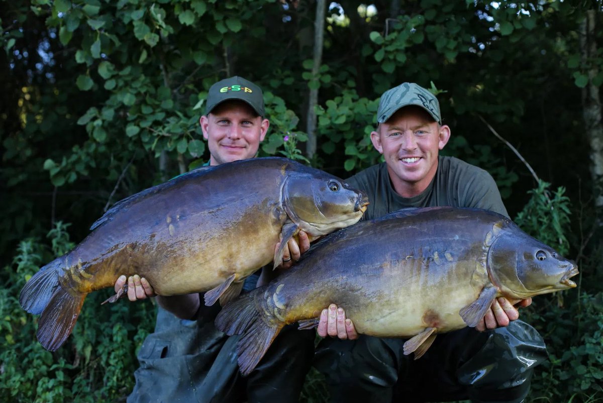 ESP Carpgear tweet media