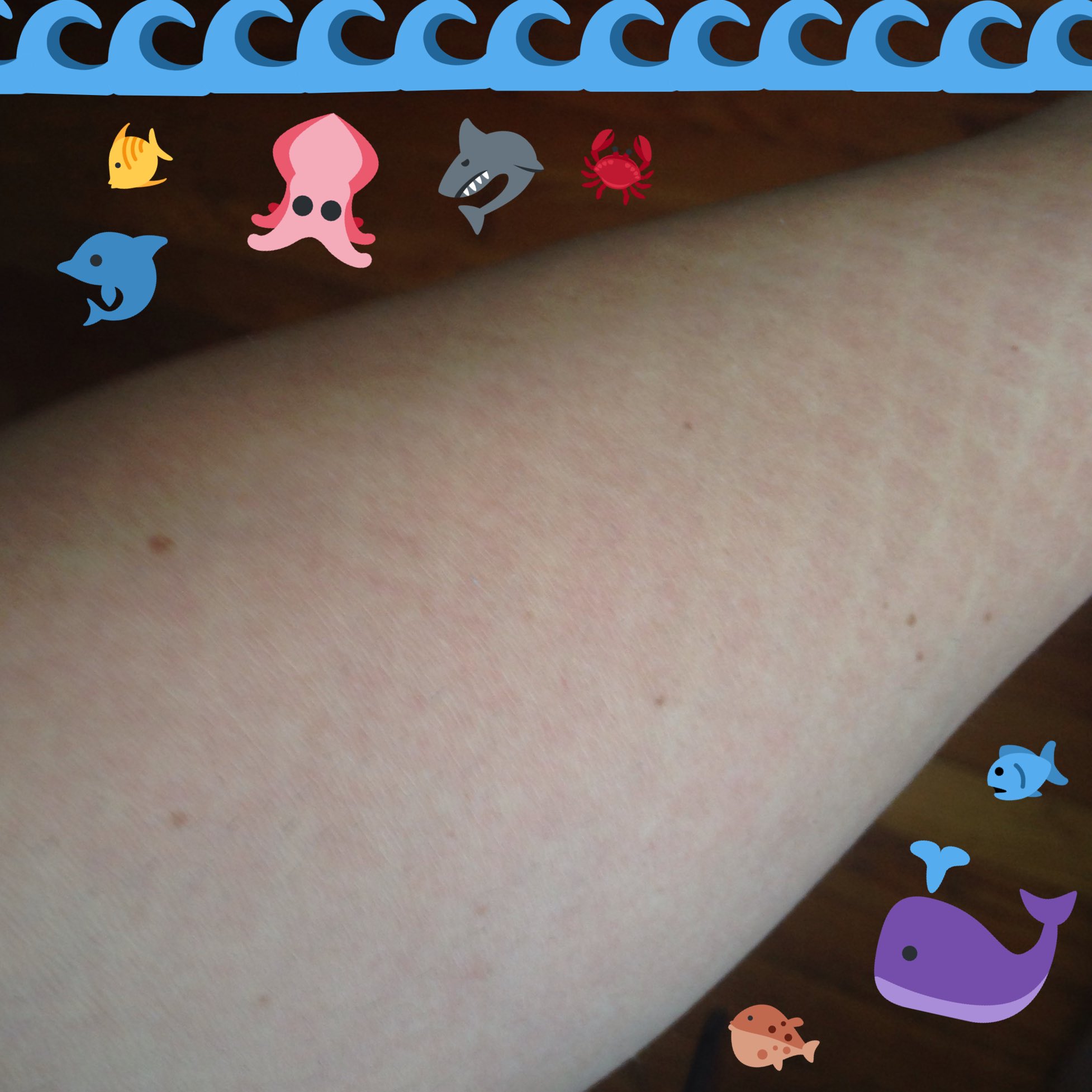 The Just Luckies on X: Fishnet tan lines #mermaidproblems  t.coBwTiNVheFJ  X