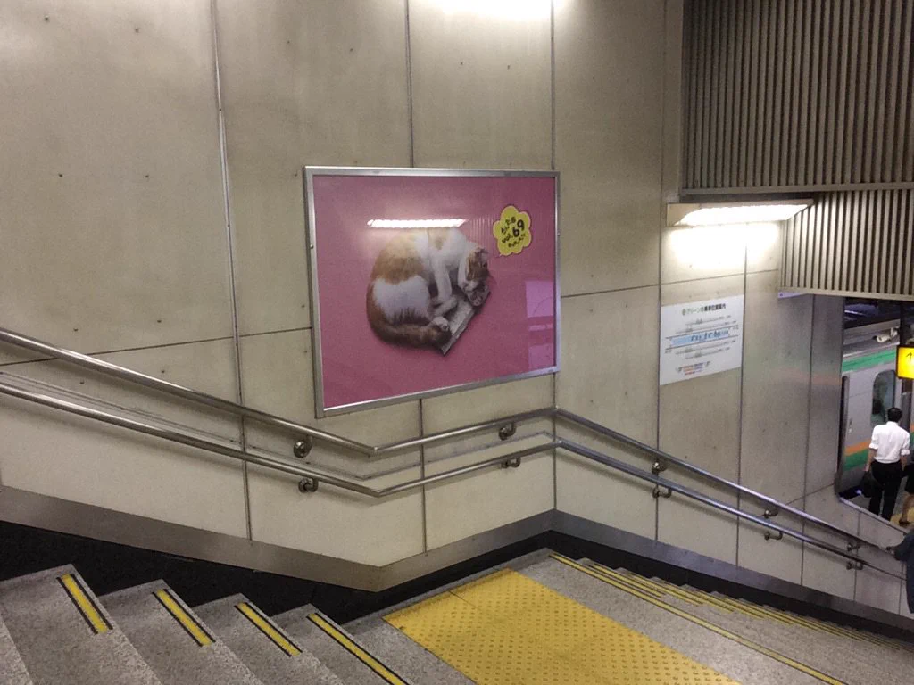 これは何のポスター？銀魂の広告がもはや意味不明ｗｗｗ