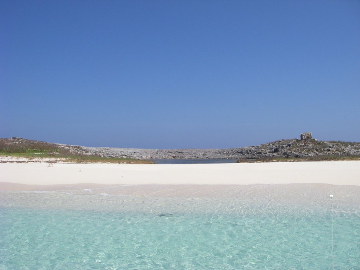 eastbayresort's tweet image. #MondayMotivation You can find us where the wind meets the ocean &amp;amp; sun &amp;amp; makes music - a deserted #beach in #turksandcaicos. @eastbayresort