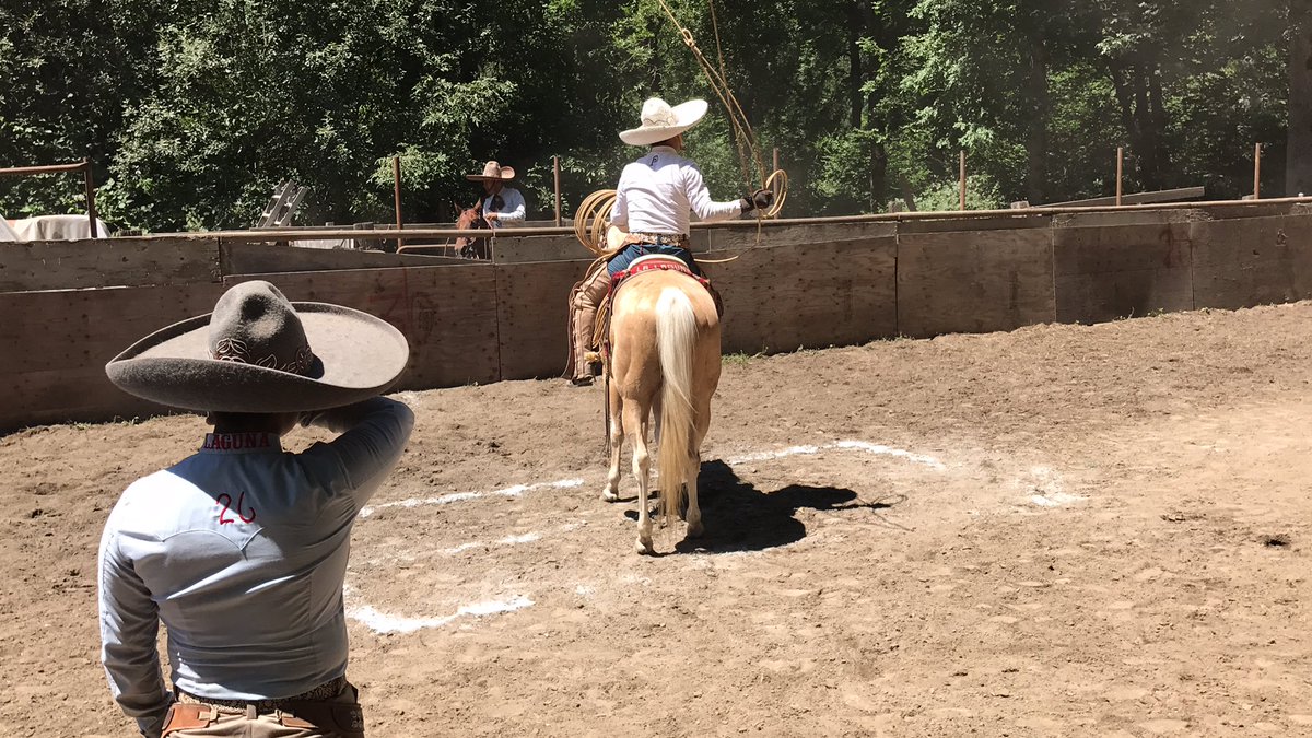 aandreacorreaa's tweet photo. Get yourself a girl that takes pictures of you when Charreando 😜 #LL26 https://t.co/epJu1UQiFP