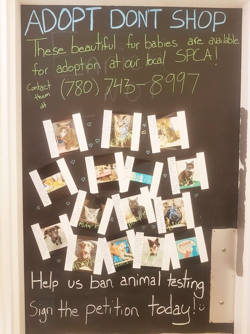 Thank you to the Body Shop who set up a promo board for our #adoptable animals in their store!  We appreciate the support #ymm #meow #woof