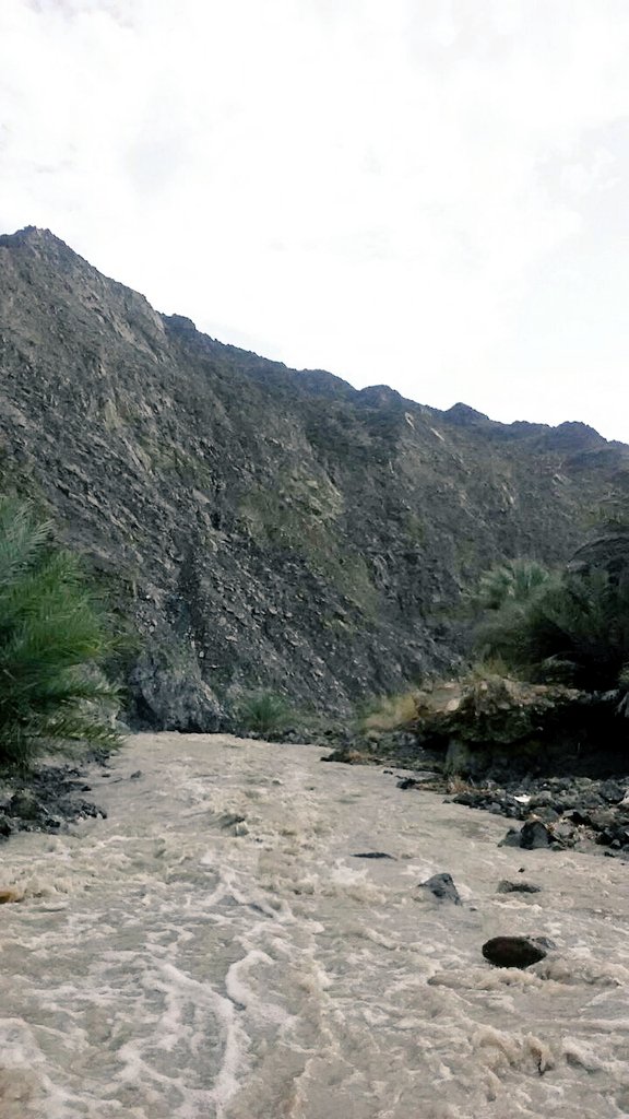 حيل الخنابشه ..مساء اليوم 
تصوير العضو.. ابرهيم المزيني