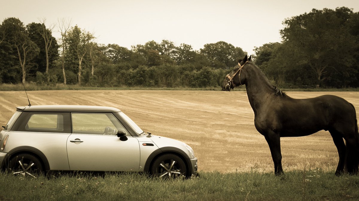 findadriver247's tweet photo. Did you know? One Horse does not have One Horsepower (The basic unit of mechanical power). A real horse averages only about 0.7 horsepower. https://t.co/PY2eYJ6hB7