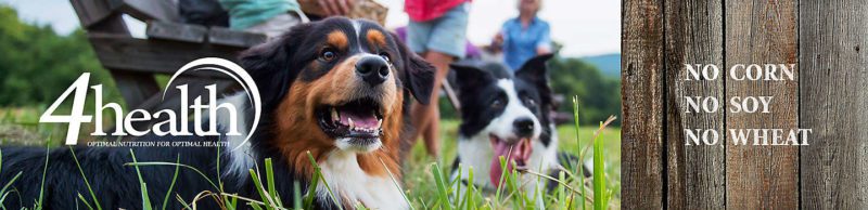 BenIsHereDotCom's tweet photo. 4health Pet Food https://t.co/xgSdYHRCpi https://t.co/aU4LmkA1ud
