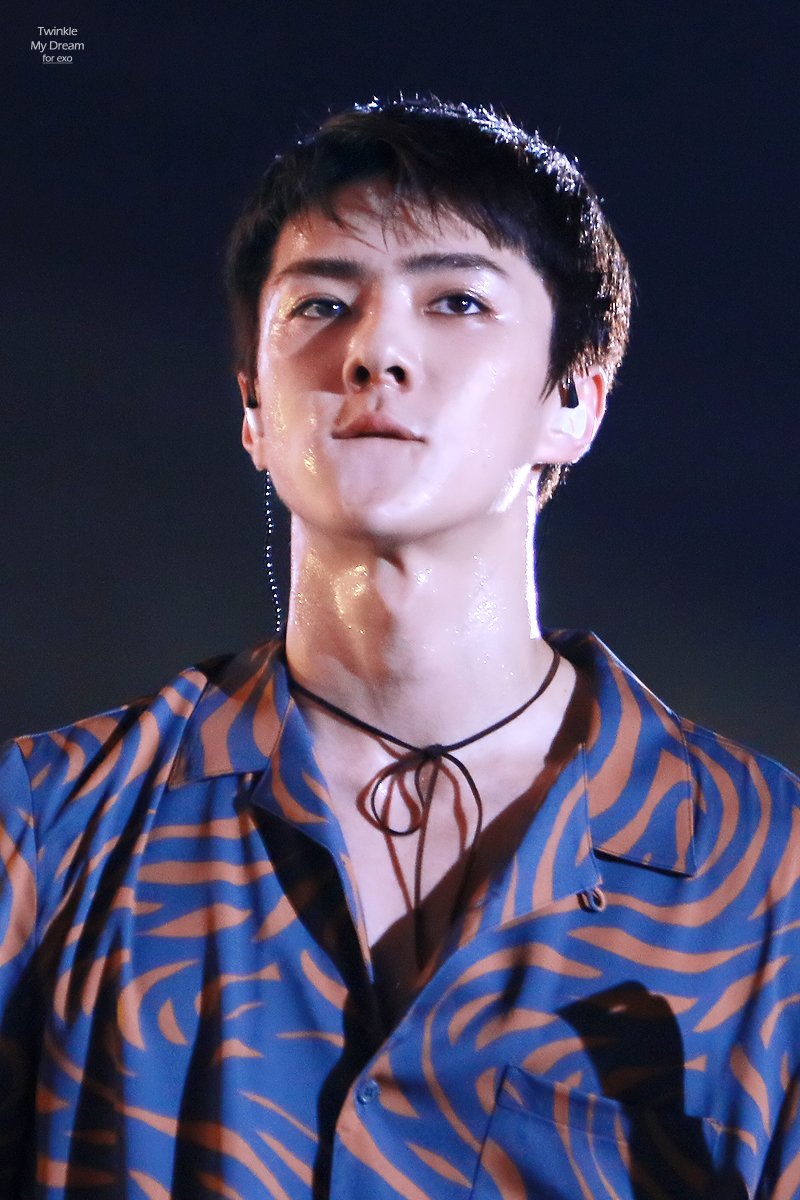 twinklemydream's tweet photo. 170708 SMTOWN LIVE IN SEOUL SMT 세훈
원래 저는 이런 얼빡을 좋아합니다 아름다워..♥
https://t.co/b0zeyeoRQ7
https://t.co/dSPQnbHVuw
#엑소 #EXO #KOKOBOP https://t.co/iXRPFCH20L