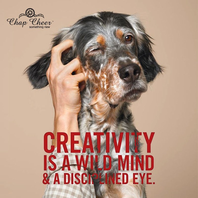 CheerChap's tweet image. 