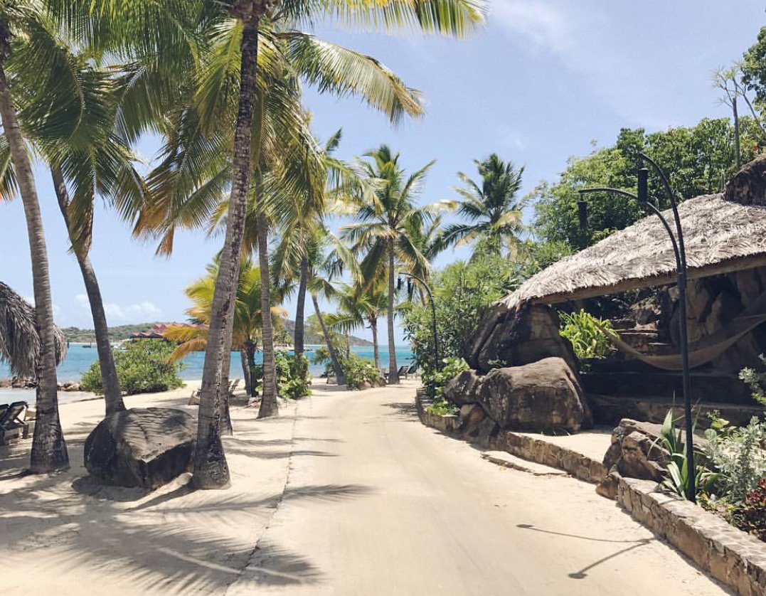 Who's up for a Monday Morning stroll? Perhaps even a trail hike? But one can also stop at the conveniently located hammock #mondaymotivation