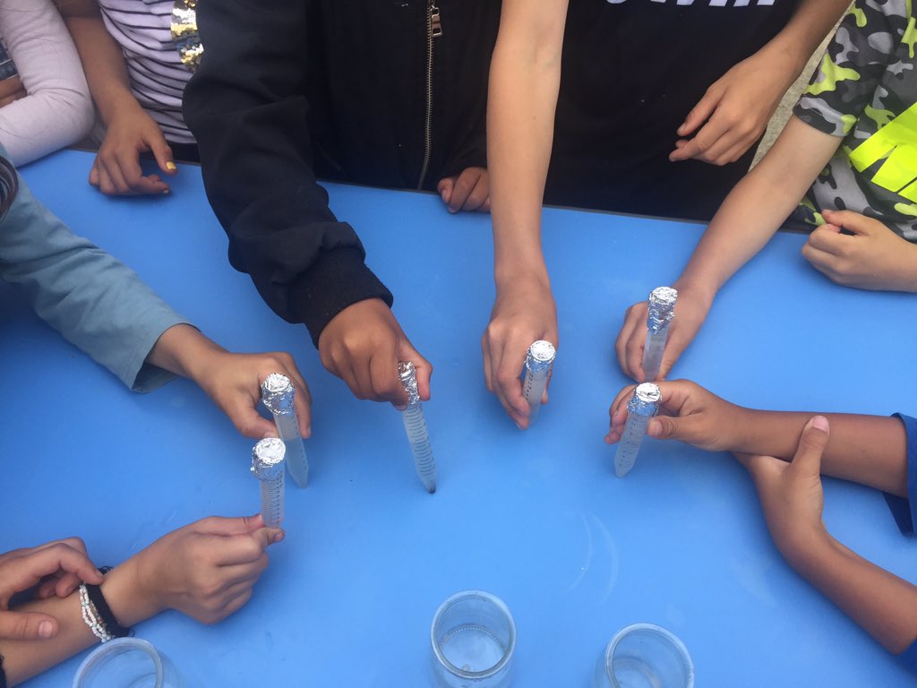 PetitsDebsBrest tweet media