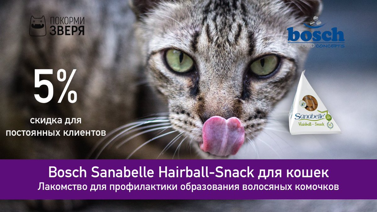 Акция покорми животных. Акция покорми животных