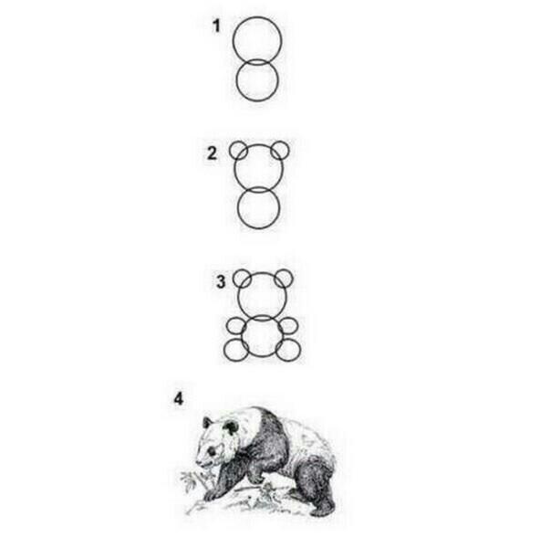 HOW TO DRAW A PANDA EASY STEP BY STEP - COMO DESENHAR UM PANDA