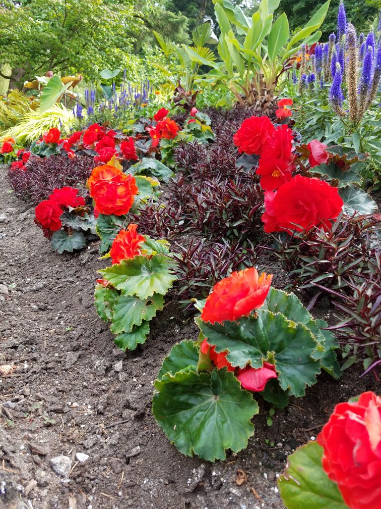 annycduran's tweet photo. Viendo bellezas en todas partes... Como dice @sixtalee !! #exploringVancouver https://t.co/72c1VmVUhx