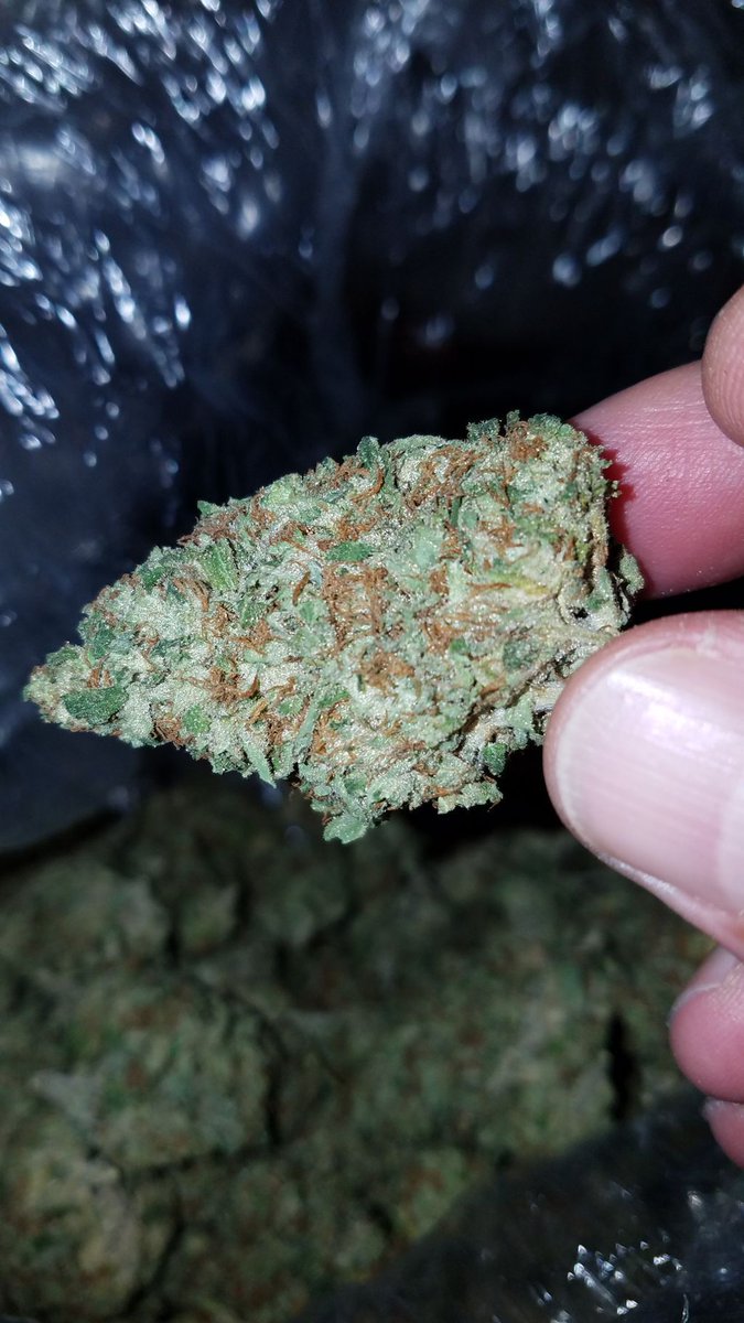 420's tweet photo. Denying sick people access to medical cannabis is barbaric and inhumane. Retweet if you agree https://t.co/YhFBHcDXtN