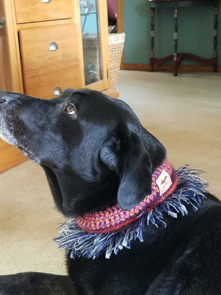 dogpiceveryday's tweet image. Custom adorable #handcrafted scarves made by artisans in the Upper Peninsula of Michigan bit.ly/2tA0lQ7