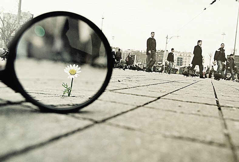 Я все замечаю просто ничего не говорю цитата. Нельзя все время спешить. Девушка грустит. Картинки люди не замечают когда их любят. Люди не замечают.