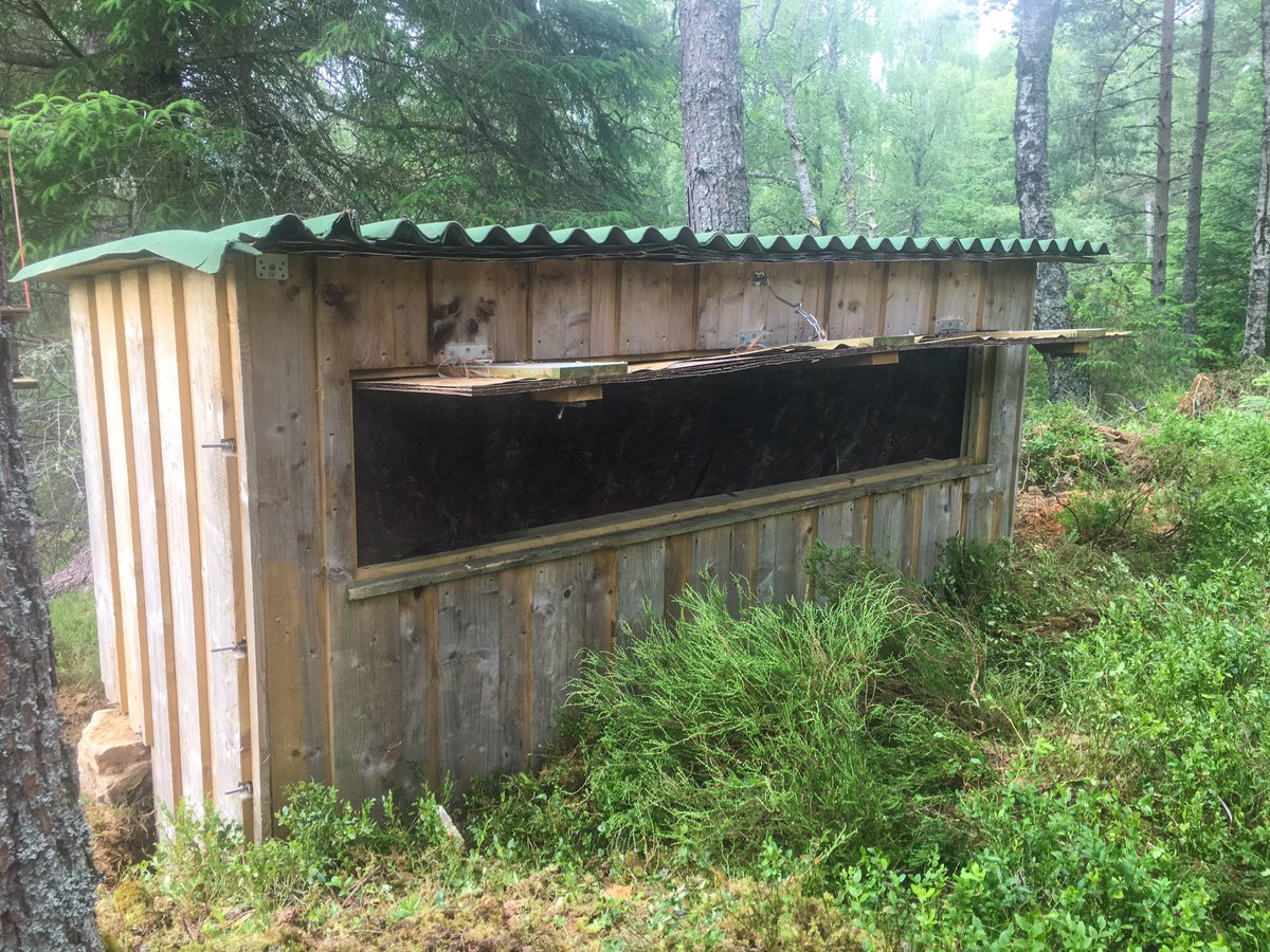 northshots's tweet photo. One of our hides going into its new home yesterday.
Bit of a slog with a small amount of blood lost due to some over enthusiastic sawing! https://t.co/XNtkhmQ7p1