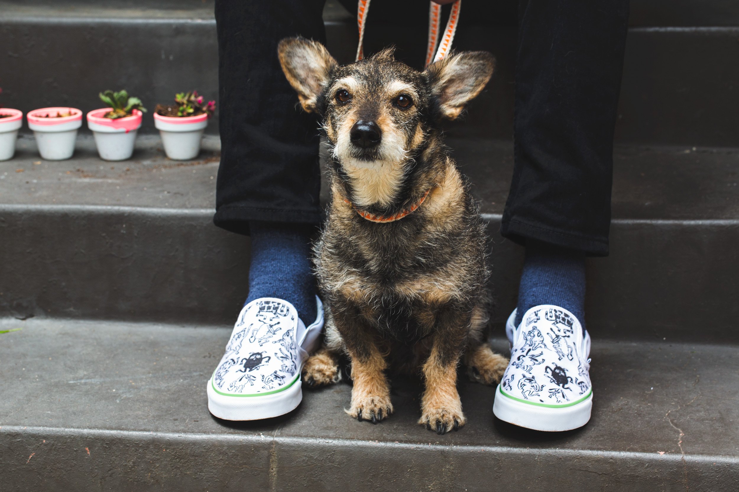 Vans på Twitter: "Design your own Vans Customs, like these by artist Jay Howell. Add your own photos or art, or pick from our prints: https://t.co/f5ezIotTWR https://t.co/QocpKgN9lh" Twitter