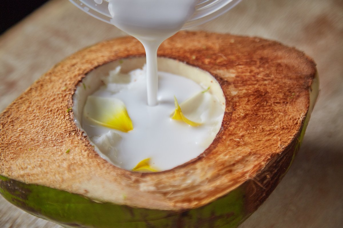 –<a href="/Hokol_Vuh/">Hokol Vuh</a> fue un evento y viaje sensorial lleno de magia y riqueza culinaria para todos los participantes chmx.co/HokolVuhYuc