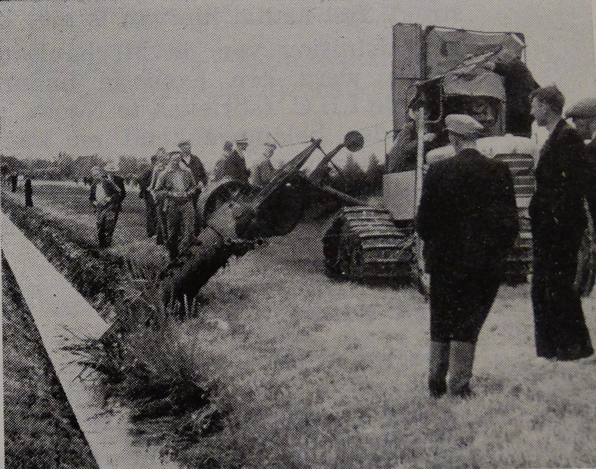 Oud Alblasserwaard tweet media