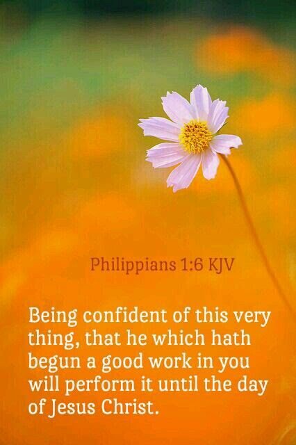 GeorgesNight's tweet image. 