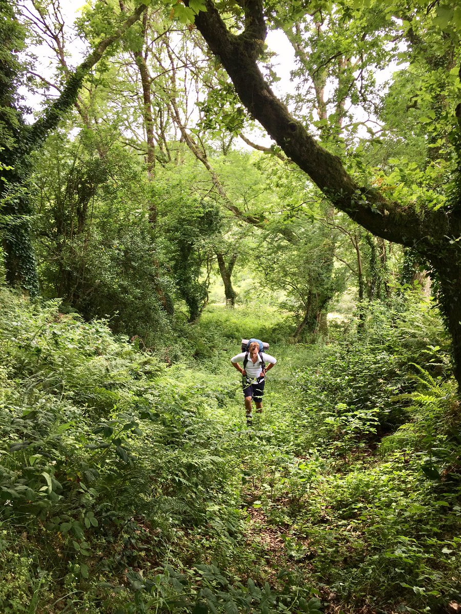 Stage 8 @PembsCoast ✅ incredible 56 miles - #PoppitSands to #PreselliHills, to #DinasHead back via #WitchesCauldron - here's my fav snaps: